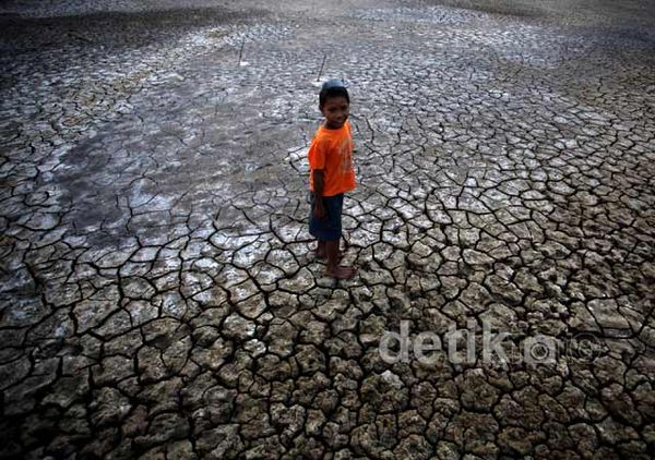 Kemarau, Tambak Ikan Kekeringan