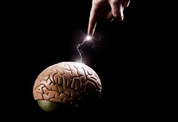 Otak Dibuat Mati Suri Demi Hidup 1000 Tahun Lagi