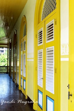 The Doors And The Windows