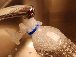 Cafe Ini Hanya Jual Air Keran Murni