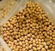 Produktivitas Kedelai RI Tak Kalah dengan AS & China