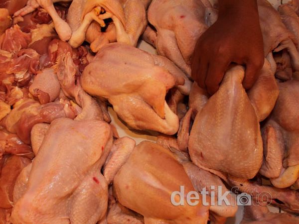 Harga Ayam Picu Inflasi