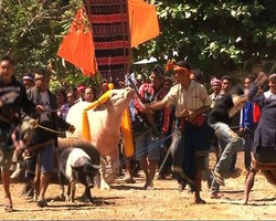 Pengantar Arwah Menuju Nirwana