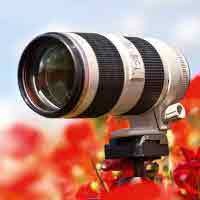 Lensa Tele yang Sesuai untuk Canon 550D