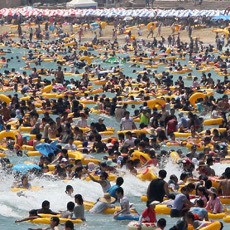 Gelombang Panas di Korsel Tewaskan 10 Orang