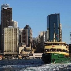 Duh! Paus & Anaknya Ditabrak Kapal Feri di Australia