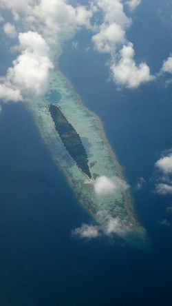 Exotic Island