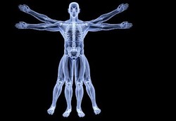 Bentuk-bentuk Tubuh Paling Aneh Sepanjang Masa