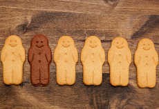 10 Politisi yang Berkomentar SARA dan Dituding Rasis