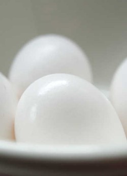 Putih Telur dan Kembang Kol Menjaga Ginjal Tetap Sehat