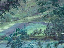 Mudik, Saatnya Menikmati Kampung di Ponorogo