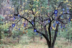 Nazar Tree, Pohon Penangkal Mata Setan dari Turki