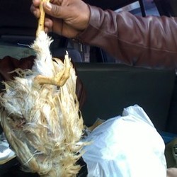 Sudin Peternakan Jakpus Razia Daging Berformalin di Pasar Kemayoran