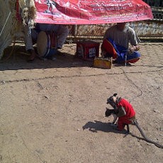 Drama Cinta Monyet dan Kucing, Siap Hibur Pemudik di Jalur Tanjung Sari