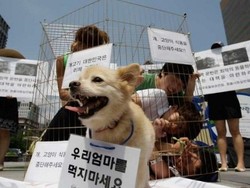 Masyarakat Seoul Protes Konsumsi Daging Anjing