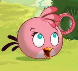 Pink Bird, Si Burung Betina di Angry Birds
