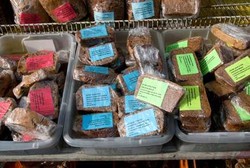 Produk Makanan Tanpa Izin dari Negara Tetangga Serbu Daerah Perbatasan