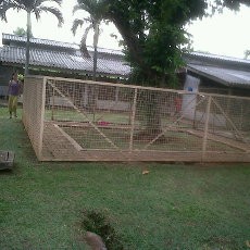 Majikan Mudik, Si Meong dan Guk-guk Pun Berlibur di Ragunan