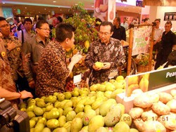Festival Buah Nusantara Untuk Peringati HUT Proklamasi ke 67