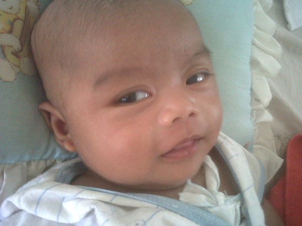 Petra Excellent, 5 Bulan, Lelaki