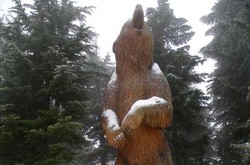 Kisah Pertama Bertemu Salju di Grouse Mountain, Kanada