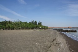 Inilah Pantai Berpasir Hitam Paling Halus di Tegal