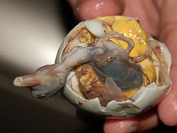Kompetisi Makan Balut Digelar di Filipina