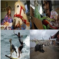 Wow! 12 Hewan Ini Jadi Peliharaan yang Tak Biasa