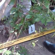 Penjaring Ikan di Mojokerto Temukan Bom Aktif