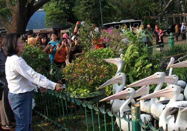 Jelang Libur Lebaran Menparekraf Cek Ragunan & TMII