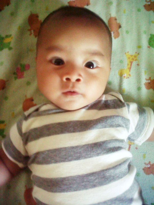 Kenzie Adla Kanandar, 5 Bulan, Lelaki