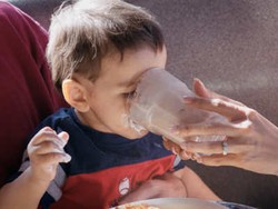 Pola Makan Si Kecil Bisa Diatur Sejak Usia 6 Bulan