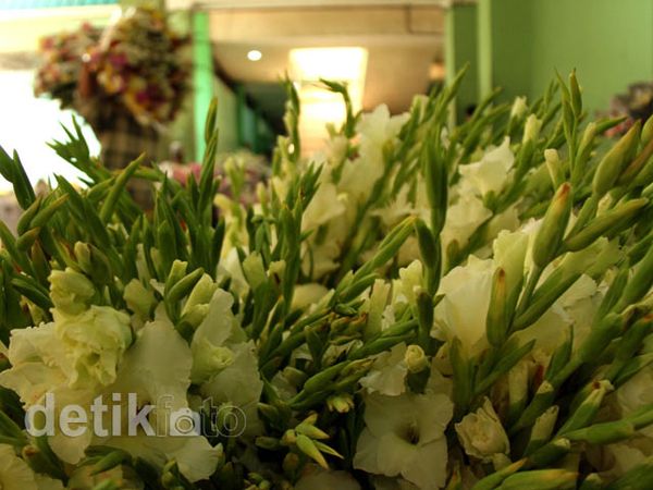 Sedap Malam, Bunga Favorit Saat Lebaran