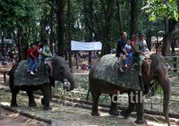 Libur Hari Raya, Ragunan Dipadati Pengunjung