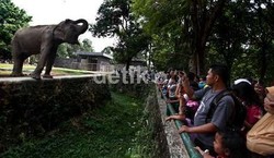 Ragunan Hari Ini Bakal Ramai Pengunjung