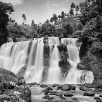 Menghasilkan Foto Black & White yang Menawan