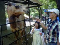 Kebun Binatang Surabaya Dipadati Pengunjung