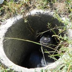 Pria 65 Tahun Ditemukan Tewas Berdiri Dalam Sumur