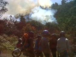Kebakaran Hutan Gunung Papandayan Merembet Ke Pegunungan Walirang