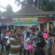 70 Ribu Tiket Kebun Binatang Terjual Selama Tiga Hari