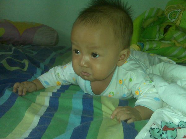 Muhammad Yusuf Avicenna, 3,2 Tahun, Lelaki