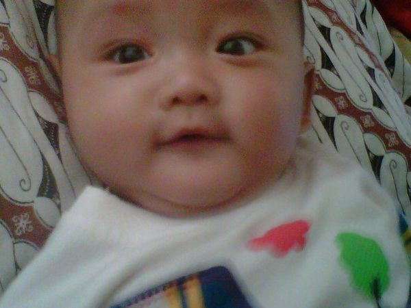 Fawwaz Ghassan Hibatulah Mahmud, 8 Bulan, Lelaki
