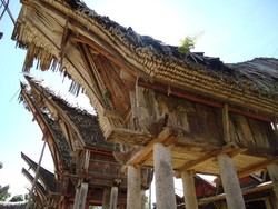 Invisible Paradise ~ Tana Toraja 