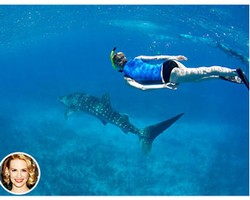  Hii.. 5 Selebriti Ini Berani Berenang Bareng Hiu 