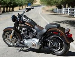 Harley-Davidson Edisi ke-110 Tahun