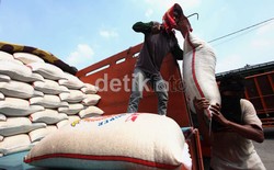 Musim Kering Panjang, Pemerintah Masih Pikir-pikir Impor Beras