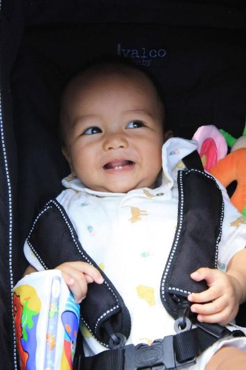 Tsaqif Aitkenvale Purnomo, 1,2 Tahun, Lelaki
