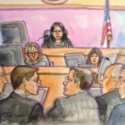  Kejayaan iOS, Kemuraman Android, dan Kelegaan Windows Phone