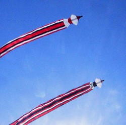 Lagi, Seorang Warga Denpasar Pingsan Diterjang Layang-layang Raksasa