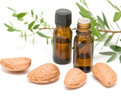  5 Manfaat Minyak Kayu Putih Bagi Tubuh